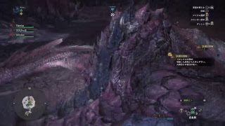 【PS4PRO】モンハンワールド　サークルメンバー募集中　モンスターハンターワールド【MHW】