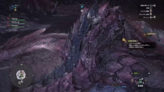 【PS4PRO】モンハンワールド　サークルメンバー募集中　モンスターハンターワールド【MHW】