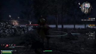 黙々とゲーム(三國無双8)