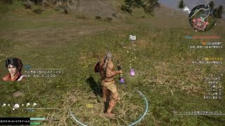 真・三國無双８　星彩　黄蓋バスターを決める