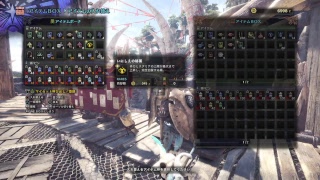PS4 愛媛からモンスターハンターワールド MHW(2018/2/3)