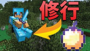 【マインクラフト】ウルトラハードコアで戦いの修行！