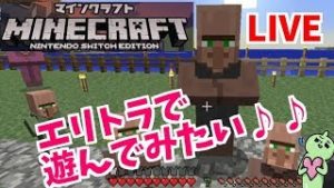 スイッチ版マインクラフト！マルチ！エリトラで遊んでみたい！雑談ＯＫ！マイクラ！Minecraft
