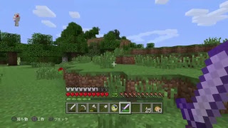 【マインクラフト】ゾンビトラップでも作れたらなと、【ピタンのPS4でマイクラ】