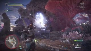 モンスターハンターワールド　2960の狩道！part５