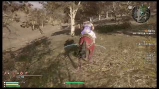 真・三國無双8（Dynasty Warriors 9）典韋編
