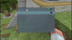 【マインクラフトVITA】オンラインIDがめちゃくちゃすぎる。