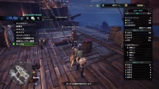 モンスターハンターワールド初心者　迷子でごめんよぅ