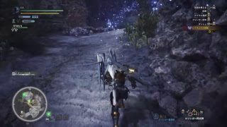 モンスターハンターワールド　狩るか狩られるか　その22