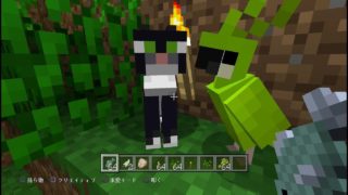 【マインクラフト】枢樞屋の質問返しコーナー