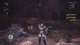 [MHW]モンスターハンター：ワールド　回避の装衣取得クエ　初見ソロ動画