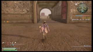 真・三國無双8（Dynasty Warriors 9）