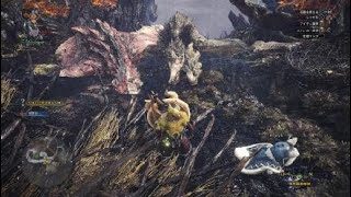 モンスターハンター：ワールド_20180223164056