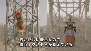 【真・三國無双8】見かけたバグまとめ 簡易解説付き