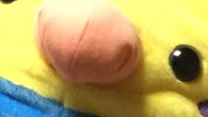 ［声なし］マインクラフト新ワールドでサバイバル＃6