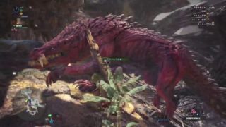 モンスターハンターワールド　金冠探し