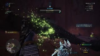 モンスターハンター：ワールド_20180212152513