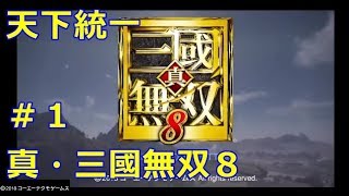 【実況付き】真・三國無双８　＃１【タクティカルアクション】