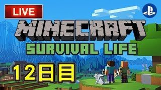 【Minecraft】サバイバル生活１２日目＃4　エンダードラゴン討伐【マインクラフト】