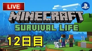 【Minecraft】サバイバル生活１２日目＃4　エンダードラゴン討伐【マインクラフト】