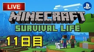 【Minecraft】サバイバル生活１１日目＃7：【マインクラフト】