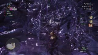 モンスターハンターワールド　　嫁（予定）のクリアとゼノちゃん装備をおおおおお！！