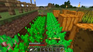 【実況】マインクラフト＃2　　お家周りとご近所の紹介