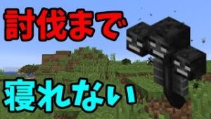 【マインクラフト】みんなでウィザー討伐するまで眠れない！？【視聴者参加型】