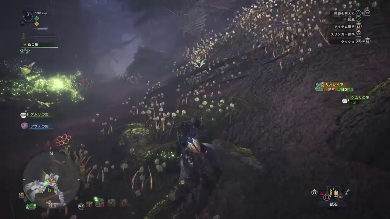 モンスターハンターワールド実況 ニートののんびり狩人生活#11 上位リオレイア一色揃えて亜種へ MHW