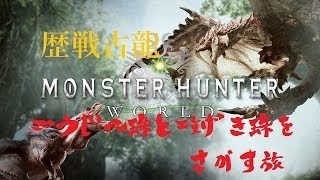【MHW HR145～】歴戦古龍【モンスターハンターワールド】