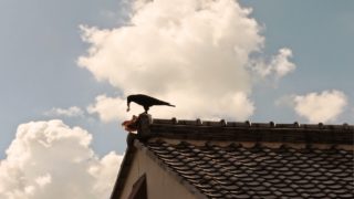 真・三国無双8  修羅 [夏侯東尼]