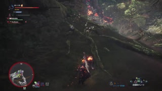 【モンスターハンターワールド】#11 梅☆旅団狩猟記 [初見歓迎&実況Live]