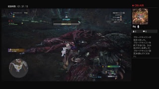 モンスターハンターワールド　エイムが下手だから練習あるのみ