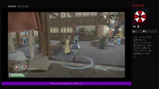 真・三国無双8垂れ流し(^^ゞ