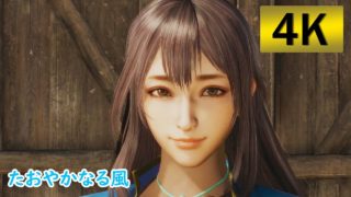 【4K】真・三國無双8【たおやかなる風】