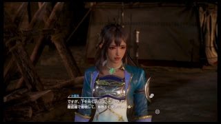 三國無双8　辛憲英伝