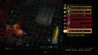 影牢～もう一人のプリンセス～トロコン作業