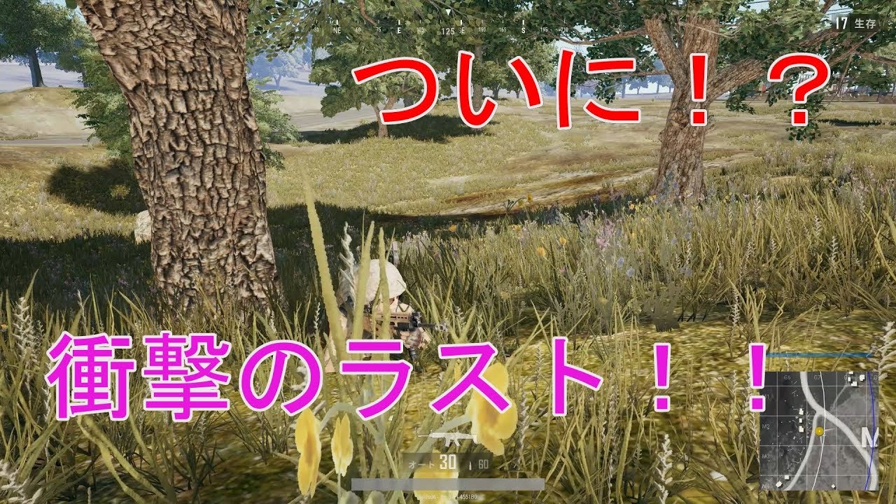 【PUBG】チキンでもドン勝つ取りたい！＃8【ゆっくり実況】