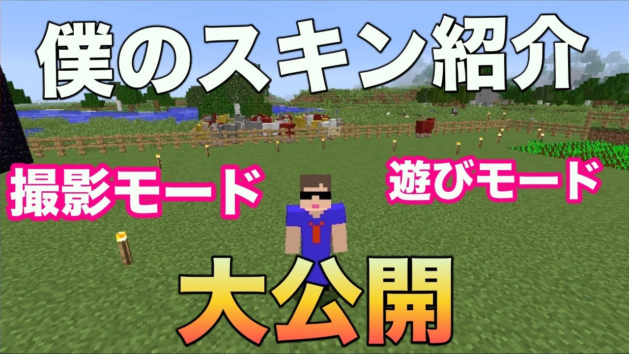 【マインクラフト】僕のスキン大公開‼【番外編】