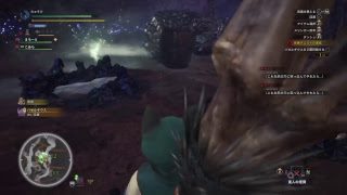 モンスターハンターワールド #22