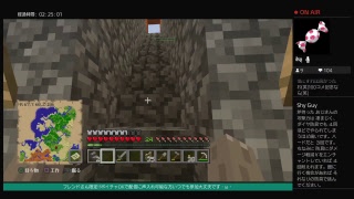 ひぃちゃんのマインクラフト・ω・NO.2