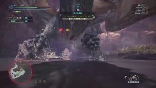 MHW　モンスターハンターワールド　金太郎