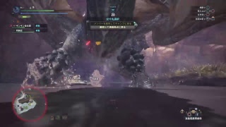 MHW　モンスターハンターワールド　金太郎
