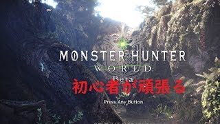 PS4　#１１　モンスターハンターワールド　MHW　ＨＲ100になるまでやめれまてん　モンハンシリーズ初プレイ　顔出し配信