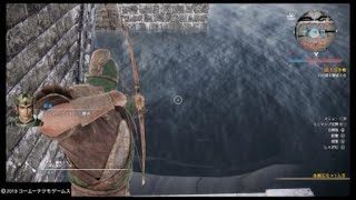 真・三國無双８_水に嵌まった呂玲綺を毒矢でヘッドショットする関羽