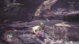 モンスターハンターワールド　　回避性能と回避距離でネルギガンテの即死攻撃をよけれる説