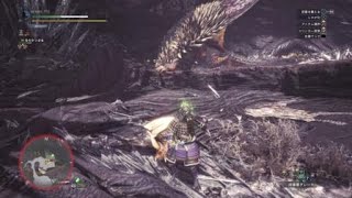 モンスターハンターワールド　　回避性能と回避距離でネルギガンテの即死攻撃をよけれる説