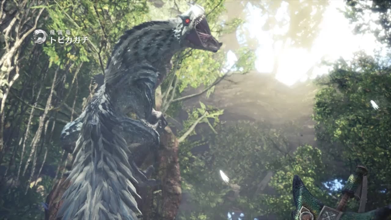 モンスターハンター:ワールド 電影走るはトビカガチ