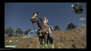 【真・三國無双8】バグ：見張り台が急に飛んで行き、空の彼方へ…