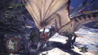 ぼうずとでのんが狩に行く！！ モンスターハンター：ワールド【Part9】